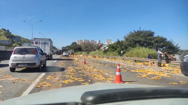 A carga se espalhou por um longo trecho da pista.