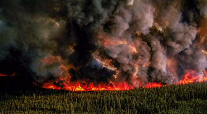 Em apenas dois meses, os incêndios já devastaram 9 milhões de hectares de florestas no país, o equivalente a queimar toda a extensão do Rio de Janeiro e do Espírito Santo juntos.